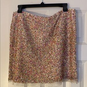 Sequin Embellished Multicolor Skirt